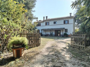Boschetto sul mare